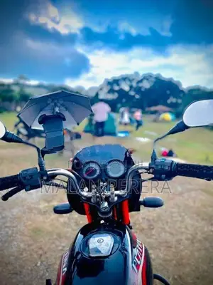 Bajaj Platina 100 2010