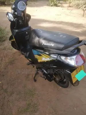 Hero Pleasure 2019