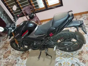 Hero Hunk 160R 2026