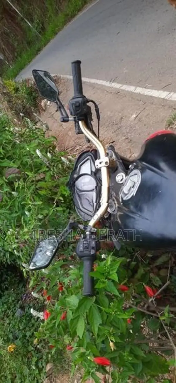 Bajaj Pulsar NS200 2014