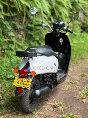 Honda Today 2024