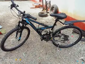 Mountain Bicycle