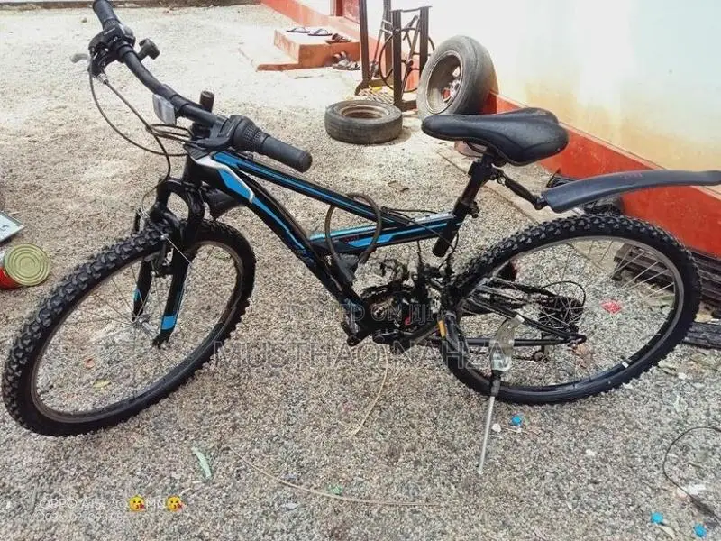 Mountain Bicycle