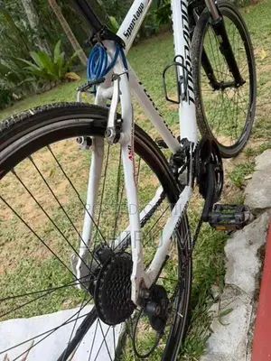 Torpado Sportage Bicycle