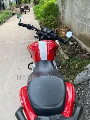 TVS Apache RTR 160 2019