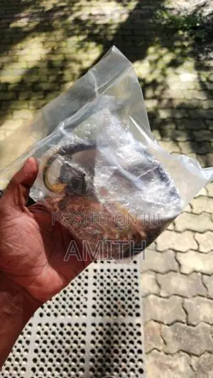 Suzuki Volty Parts
