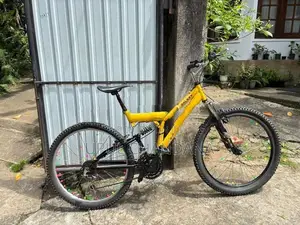 DSI Bicycle