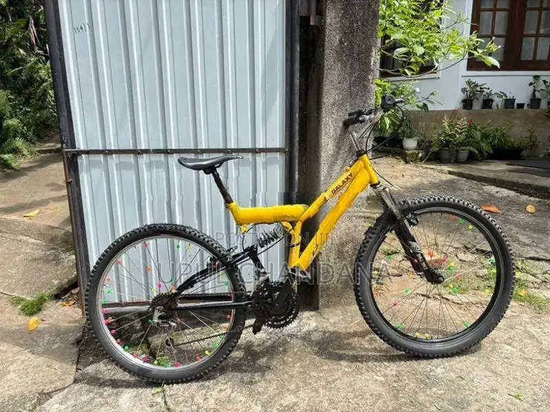 DSI Bicycle