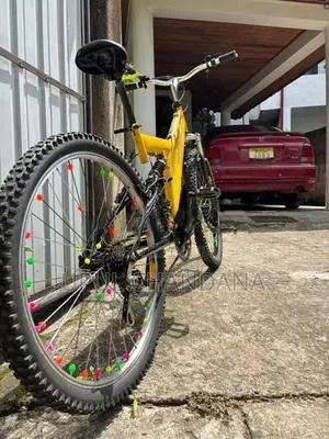 DSI Bicycle