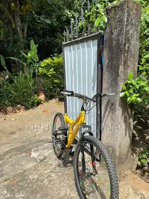 DSI Bicycle