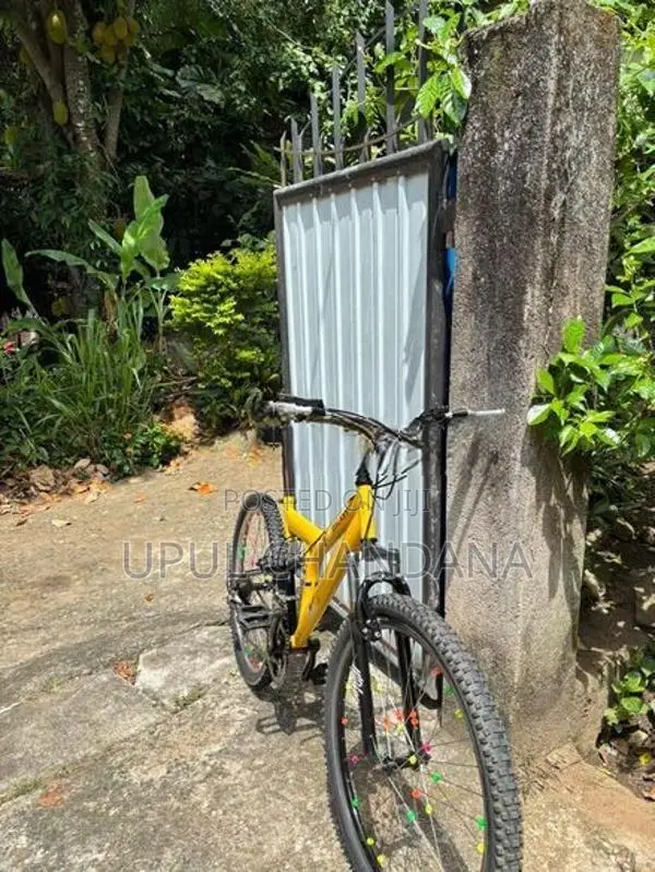 DSI Bicycle