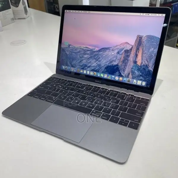 Apple MacBook 12" Retina Early 2015