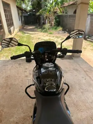 Bajaj Pulsar 150 2019
