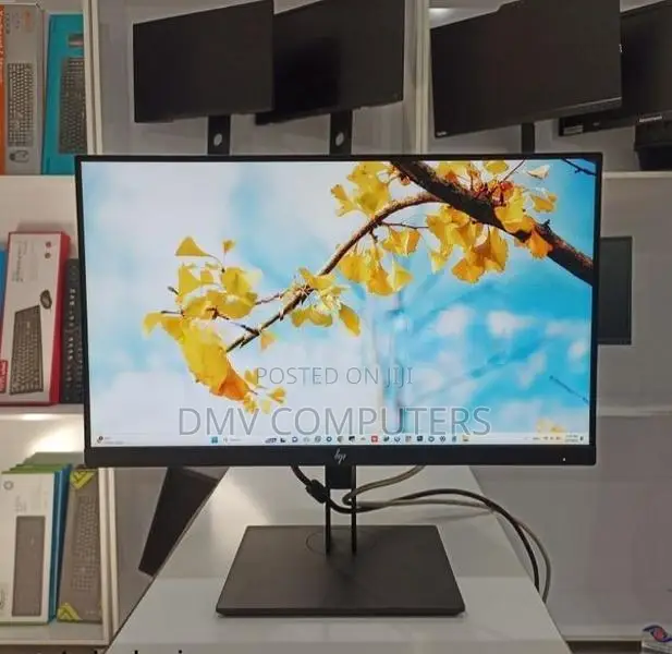 HP 23 Inch IPS HDMI Frameless Monitor