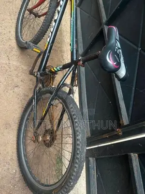 Lumala Bicycle