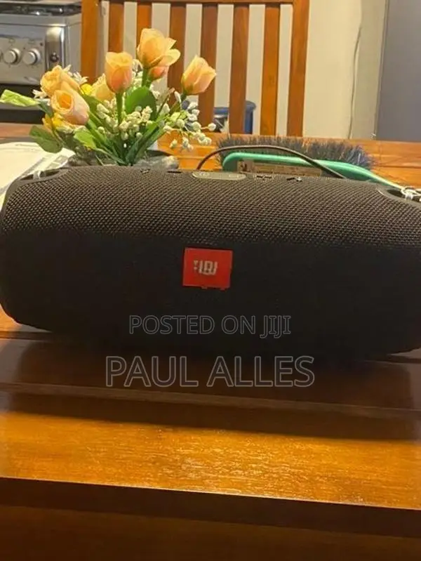 Blue Tooth Speaker