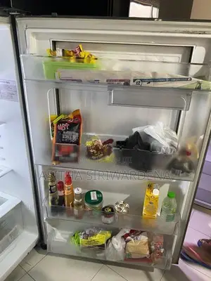Door in Refrigerator