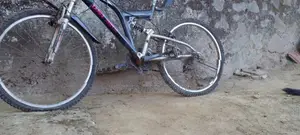 DSI pro bicycle