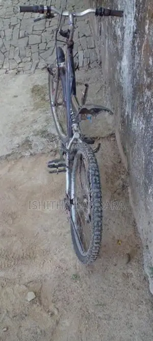 DSI pro bicycle