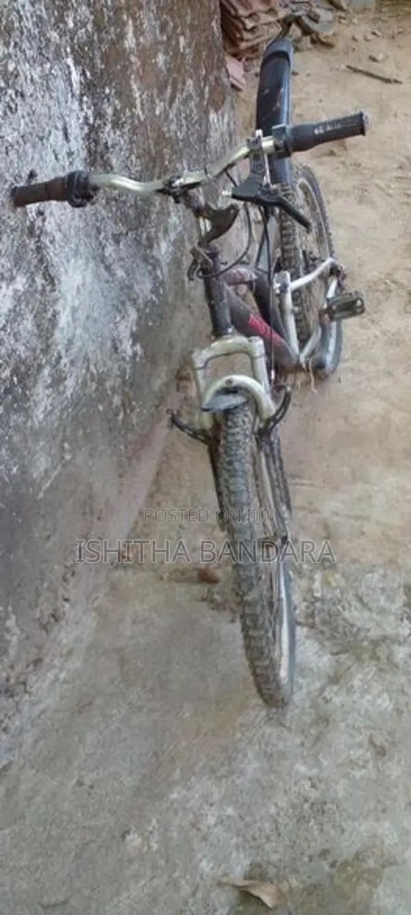 DSI pro bicycle