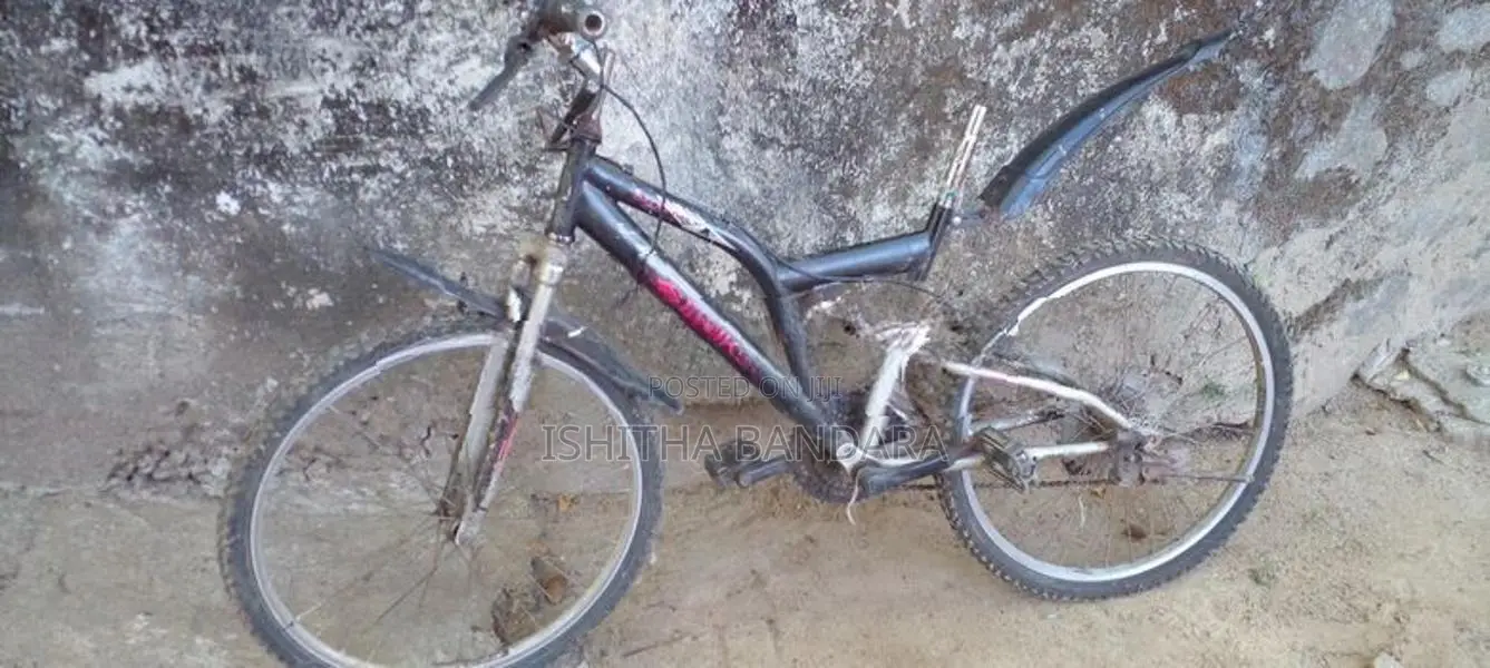 DSI pro bicycle