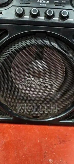 Buffle Audio System