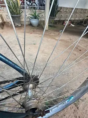 Bicycle