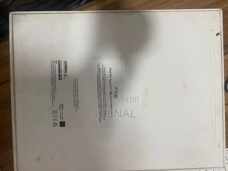 Apple iPad Pro 12.9-inch 6th Generation with pencil