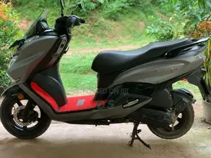 Suzuki Burgman Gray Colour 2019