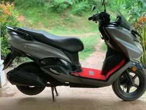 Suzuki Burgman Gray Colour 2019