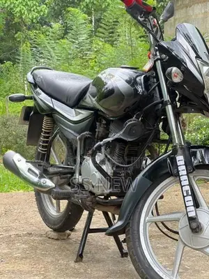 Bajaj Platina 100 2018