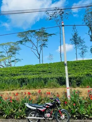 Bajaj CT100 2009