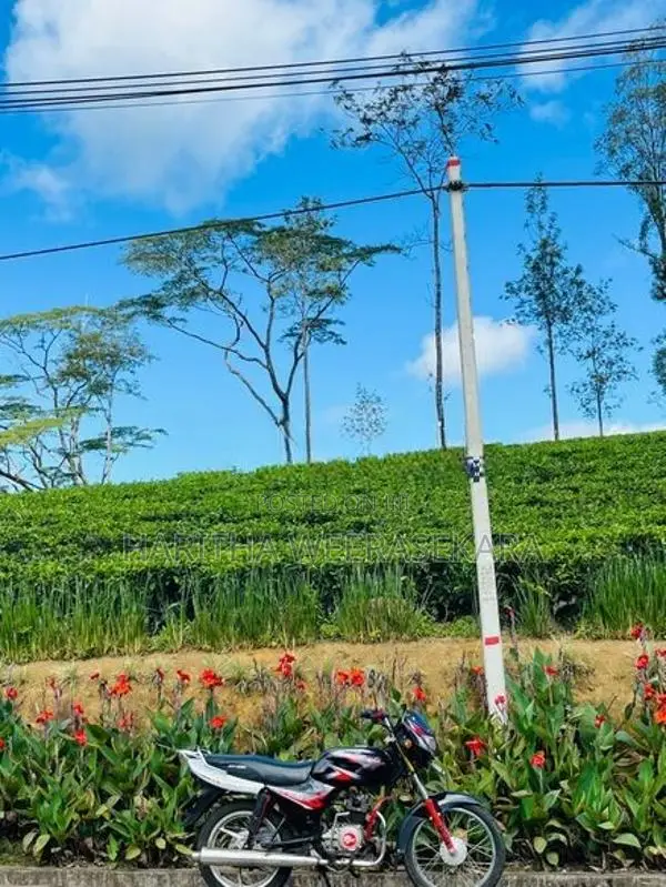 Bajaj CT100 2009