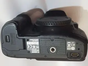 Canon Professional Camera with Lenses