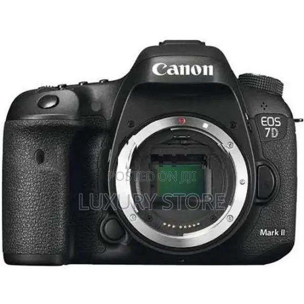 Canon Professional Camera with Lenses