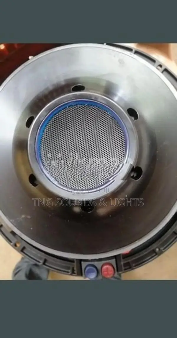 15 Inch RCF Speaker