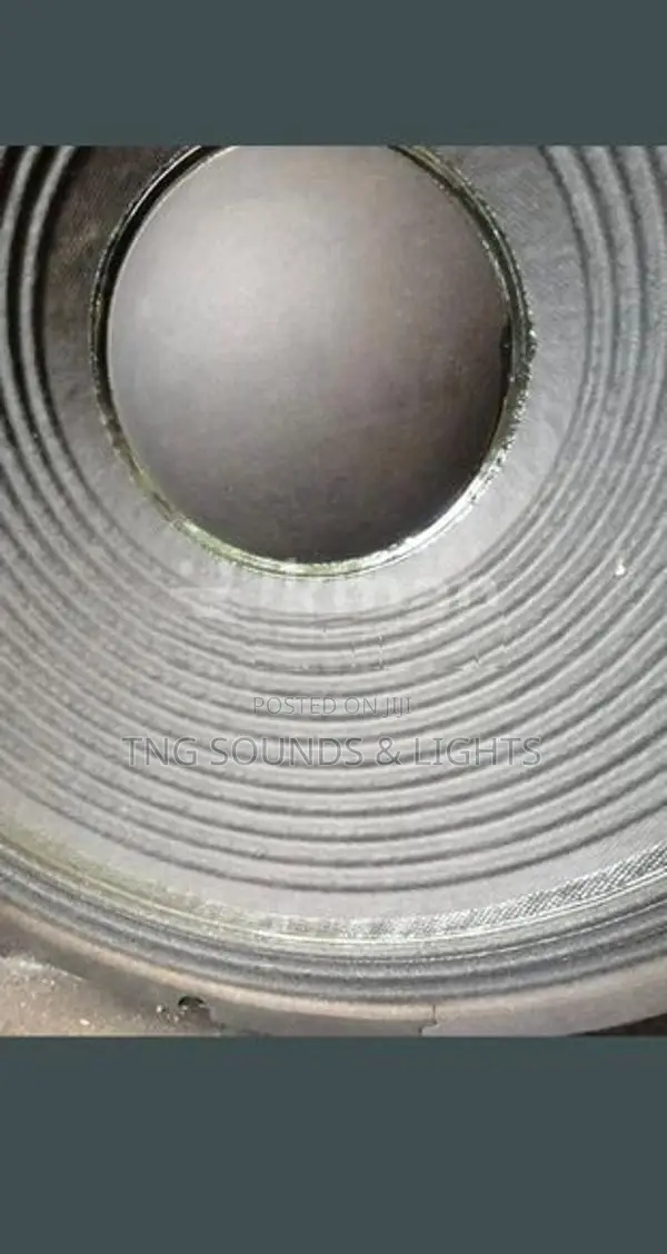 15 Inch RCF Speaker