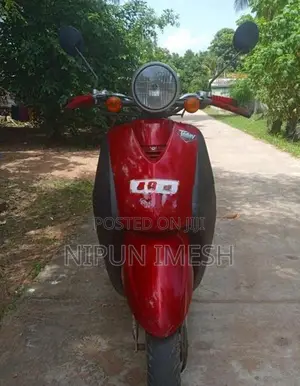Honda Today 48CC 2025