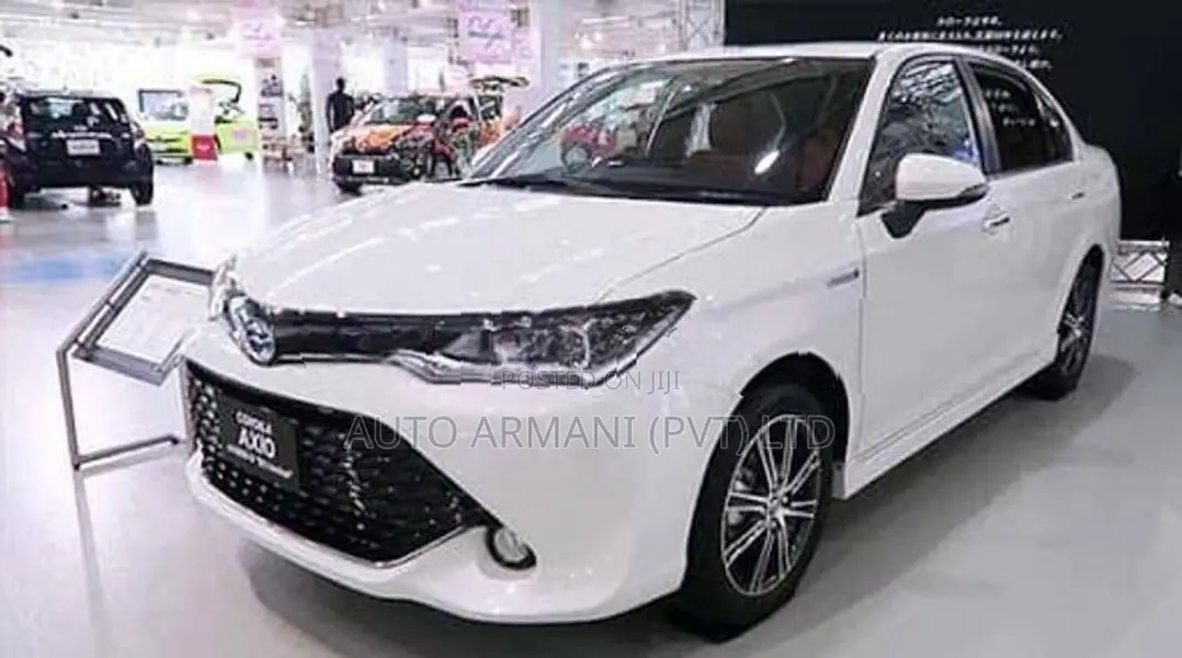 Toyota Axio 165 fender