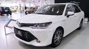 Toyota Axio 165 fender