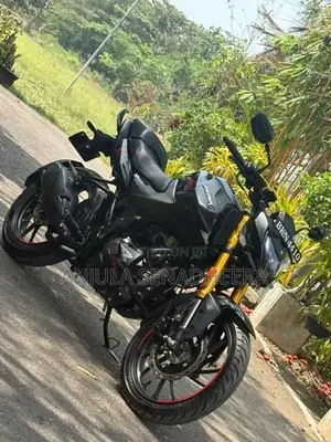 Hero Hunk 160R 2025