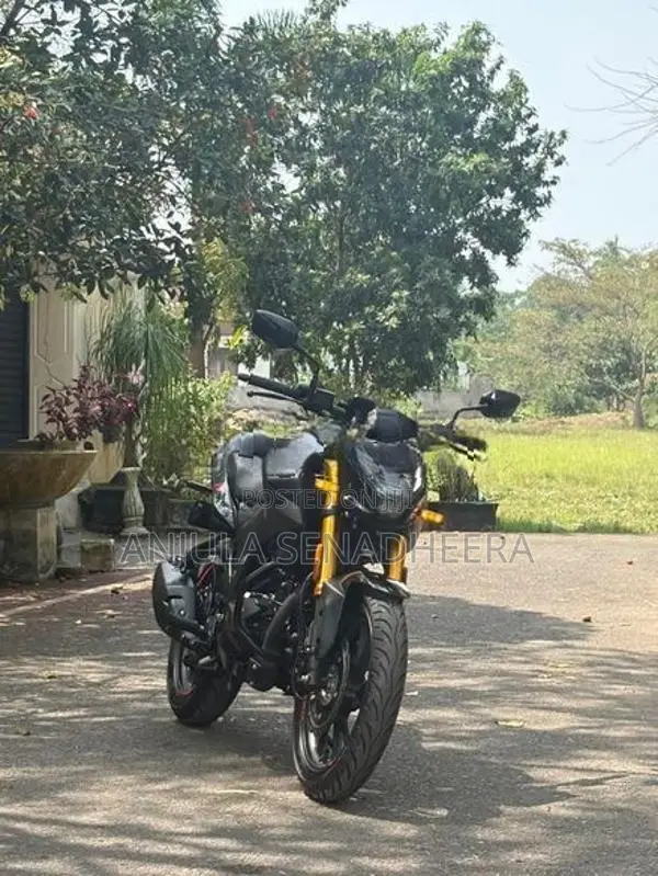 Hero Hunk 160R 2025