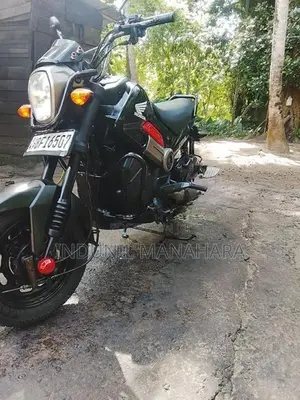 Honda Navi 2017