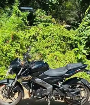 Bajaj Pulsar NS200 2026