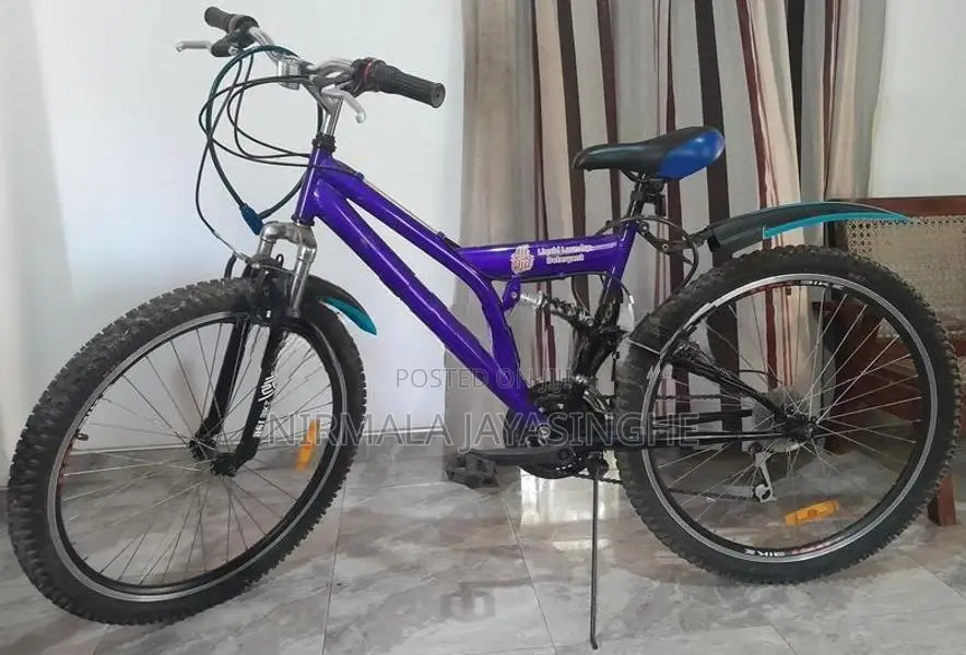 Dsi Mountain Bicycle