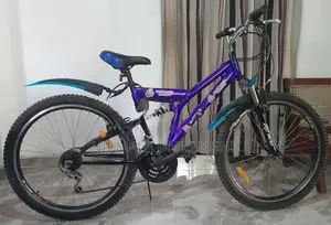 Dsi Mountain Bicycle