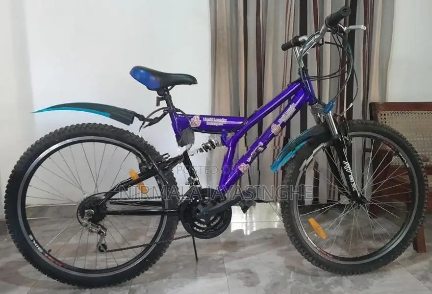 Dsi Mountain Bicycle