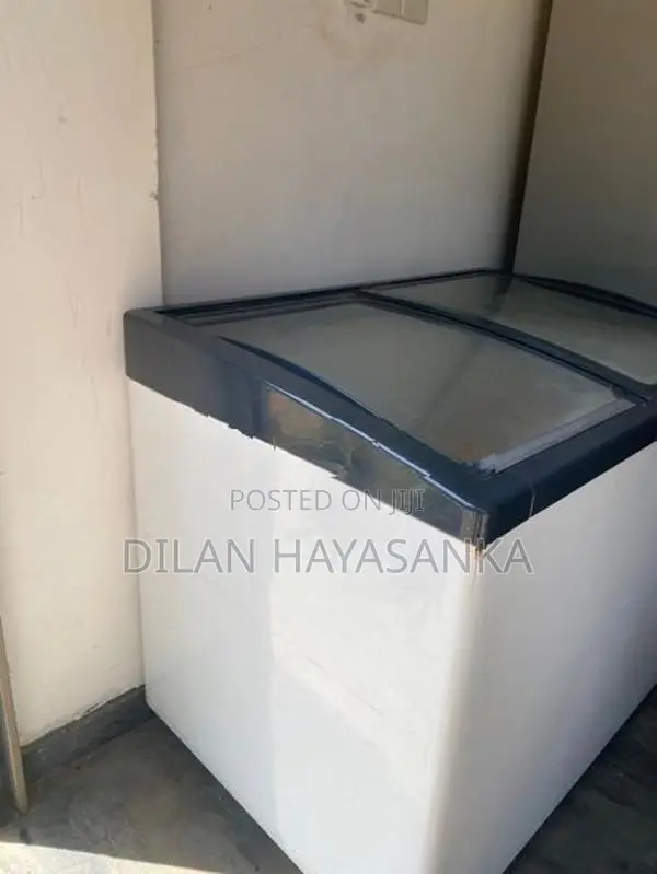 Display Freezer