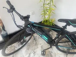 Electric bicycle - WaltX Spark 5