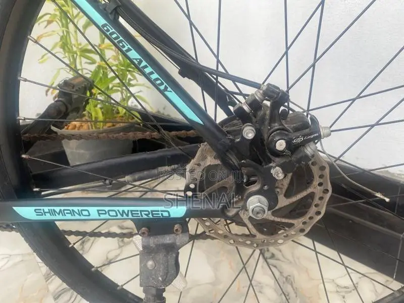 Electric bicycle - WaltX Spark 5